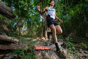 BIB: 
                            <button type="button" onclick="openModal(19387113)" class="btn btn-primary btn-sm float-right btn-popup" data-toggle="modal" data-target=".modal-high-quality">
                        <i class="fas fa-shopping-cart"></i> Add to Cart
                    </button>
                                            <button type="button" onclick="isThisMe(19387113, true)" class="btn btn-success btn-sm float-right btn-popup btn-isme hidden" data-toggle="tooltip" data-placement="bottom" title="นี่คือรูปของคุณใช่ไหม คลิกที่นี่เพื่อเอาเข้าอัลบั้ม">
                        <i class="fas fa-plus"></i> Add to album
                    </button>
                    <button type="button" onclick="isThisMe(19387113, false)" class="btn btn-warning btn-sm float-right btn-popup btn-isnotme hidden">
                        <i class="fas fa-ban"></i> Remove from album
                    </button>